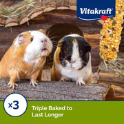 Vitakraft Crunch Sticks Guinea Pig Treat Fruit & Honey Flavor - 2 Sticks | Real Dried Fruit, Sweet Honey Coating, Natural Wood Center, Encourages Foraging Chewing, 2 Count Pack