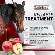 Horse Ivermectin Paste 1.87% – Apple Flavored Oral Horse Dewormer Syringe – 6.08g Tube Treats Horses Up to 1,250 lbs [Pack-1]