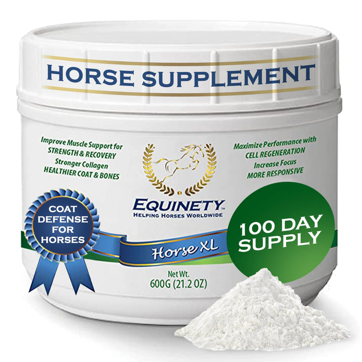 100-Day Supply Equinety Horse XL Powder Horse Supplement with Amino Acids | Horse Joint Supplement for Horses for Cell & Hoof Support, No Soy or Sugar Coat Supplement & Horse Weight Gain Supplement