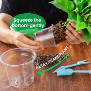 Bluepro Clear Nursery Pots with Drainage Holes, 3.5/4/5 Inch, 36-Pack | Clear PET, 12 Each of 3 Sizes, Root and Moisture Visibility, Flexible, Reusable, Indoor Use, Propagation and Seed Starting