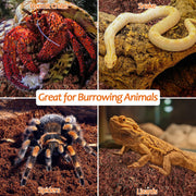 Riare 2 Pack Natural Coconut Fiber Substrate, Coco Coir Reptile Bedding | Coconut Husk Reptile Substrate for Tortoises, Hermit Crabs, Snakes, Bearded Dragon, Geckos, Reptile Enclosure/Terrarium Setup