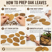 MAQIHAN 5oz Oak Leaf Litter - Dry Substrate for Reptiles Isopod & Bioactive | Whole Natural Oak Leaves for Terrarium, Forest Floor Habitat, Premium Enclosure Bedding for Snake, Frog, Gecko, Lizard