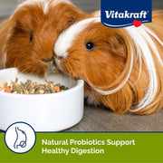 Vitakraft Menu Guinea Pig Food 5 lb. | Vitamin-C Enriched, Nutrient-Rich Seed & Pellet Blend, Daily Diet Formula, Resealable Bag, 5 lb Pack