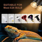 Lachesan 50W Uva Light Bulbs 4-Pack, Turtle Heat Lamp for Reptile | E26 Base Fit for Reptiles and Amphibian Tanks, Terrariums and Cages, Works with Various Lamp Fixtures