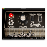 Ampknob Duet