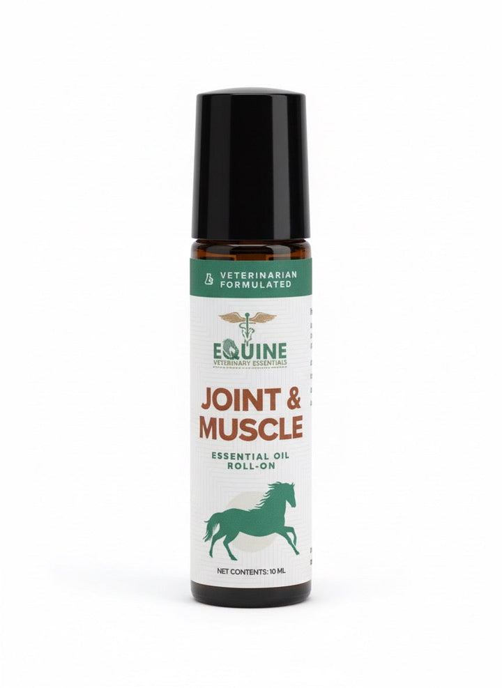Equine Joint and Muscle Roll-On Essential Oil