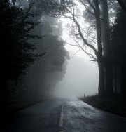 Beautifully Haunted