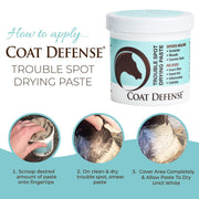 COAT DEFENSE Trouble Spot Drying Paste for Horses - Natural Equine Wound Care That Provides Safe & Effective Relief from Scratches, Sweet Itch, Summer Sores, Proud Flesh, Mud Fever, Girth Rot (10 Oz)