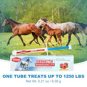 Ivermectin Equine Paste 1.87% – Apple Flavored Oral Dewormer for Horses, 6-Pack