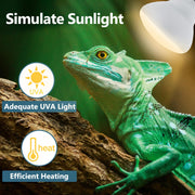 LUCKY HERP Heat Lamp Bulbs - 150W Reptile Heat Lamp 2 Pack, Daylight Basking Heat Lamp Bulbs for Reptile, UVA Heat Light Bulb for Reptiles, Amphibians, Bearded Dragons, Lizards, Turtles, Chickens