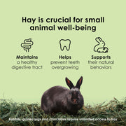 Kaytee Timothy Hay, High Fiber for Rabbits, Guinea Pigs, 12 Pounds | Supports digestive health. Hand-selected rabbit hay. Guinea pig hay, chinchilla hay, pesticide free