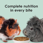 Kaytee Timothy Complete Guinea Pig Food with Timothy Hay, 9.5 Pounds | Supports digestion. Pelleted food for guinea pigs. guinea pig pellets, vitamin C, probiotics