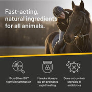 Silver Honey Rapid Wound Repair First Aid Spray Gel, 8 fl oz | Manuka Honey, MicroSilver BG, Fast & Natural Healing, Touch-Free Application, Multispecies Versatility, Antibiotic-Free
