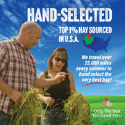 Small Pet Select 2nd Cutting Perfect Blend Timothy Hay Pet Food for Rabbits, Guinea Pigs, Chinchillas and Other Small Animals, Premium Natural Hay Grown in the US, 12 LB