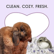 Kaytee Clean & Cozy Lavender Paper Bedding for Guinea Pigs, 49.2 Liters | Fresher habitats with rabbit bedding. Hamster bedding for small pets. 99% dust-free, absorbs 6x, lavender bedding