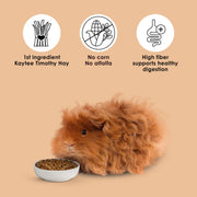 Kaytee Timothy Complete Guinea Pig Food with Timothy Hay, 9.5 Pounds | Supports digestion. Pelleted food for guinea pigs. guinea pig pellets, vitamin C, probiotics