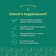 Oxbow Digestive Support Rabbit & Guinea Pig Supplement, Timothy Hay, 4.2 oz | Digestive Support, Timothy Hay, Rabbits, Guinea Pigs, Supplement, Chicory Root, Ginger Root, Chamomile, Healthy Digestion