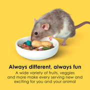 Kaytee Fiesta Mouse & Rat Food, Nutritious Blend, 4.5 Pounds | More mealtime fun. Mouse food blend. Fruits, veggies, rat enrichment
