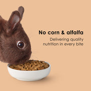 Kaytee Rabbit Food, Timothy Complete Rabbit Food Pellets, 9.5 Pounds | Bunny food for digestion support. Pelleted rabbit feed with timothy hay. High fiber, rabbit pellets, natural chewing