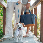 CleverMade Tahoe Collapsible Cooler Bag, Medium Travel Cooler, Ocean | Keep Food and Drinks Cold Without Bulky Storage | The Leak-Resistant Liner Contains Meltwater, and the Frame Folds Flat