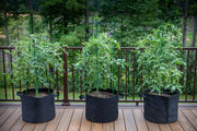 Gardzen 10-Pack 10 Gallon Grow Bags Fabric Pots with Heavy Duty Handles | Excellent Drainage & Breathability, Thickened 300G Nonwoven Fabric, BPA Free, Durable for Vegetable & Flower Growing