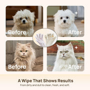 HICC PET Dog Wipes for Dogs & Cats, Glove Design, 20 Count | Fresh Coat Between Baths, Head-to-Tail Grooming, Plant-Based Formula, No-Rinse, Quick Everyday Cleanups, Coconut Scent