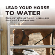 Daily Red Crushed Loose Minerals | Mineral Salt + Electrolyte Supplement for Horses (25LB Refill Bag)
