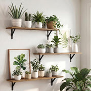 WOPITUES Long Wall Shelves 32″W x 8″D, Floating Book Shelves Max Load 65lbs | Wall Mounted Wood Shelf Storage, Metal Brackets, Bedroom/Living Room/Laundry Room/Kitchen/Pantry Decor, Brown, Set of 3