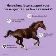 Formula 707 Joint 6-in-1 Supplement for Horses, 5 lb, 40-80 Servings