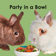 Kaytee Fiesta Rabbit Food, Supports Dental Health and Digestion | Fun at feeding time. Small animal food with bunny enrichment. Shapes, textures, fruits and veggies