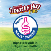 Kaytee All Natural Timothy Hay Plus Carrots for Guinea Pig & Rabbit | Digestive support. Guinea pig hay with carrots. Rabbit hay, long-strand, non GMO