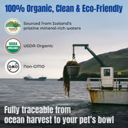 Life Line Organic Ocean Kelp Supplement for Dogs, Cats, Horses & Livestock | Natural Source of Iodine for Skin, Shiny Coat & Immune Support | Helps Reduce Tartar, Shedding & Aids Digestion – 1.5 lb