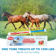 Ivermectin Equine Paste 1.87% – Apple Flavored Oral Dewormer for Horses, 6-Pack