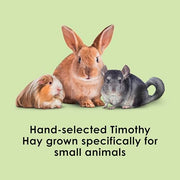 Kaytee Wafer Cut Timothy Hay for Rabbit & Guinea Pigs, 60 Ounce | Less mess. Rabbit hay peels in layers. High fiber, guinea pig food
