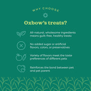 Oxbow Simple Rewards Guinea Pig & Rabbit Treats, Apple Banana, Baked, 3 oz | Timothy Hay, Bunny Treats, Hamster Treats, Chinchilla, Guinea Pig Snack, Rabbit Enrichment, Rabbit Accessories, Essentials