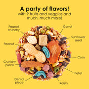 Kaytee Fiesta Mouse & Rat Food, Nutritious Blend, 4.5 Pounds | More mealtime fun. Mouse food blend. Fruits, veggies, rat enrichment