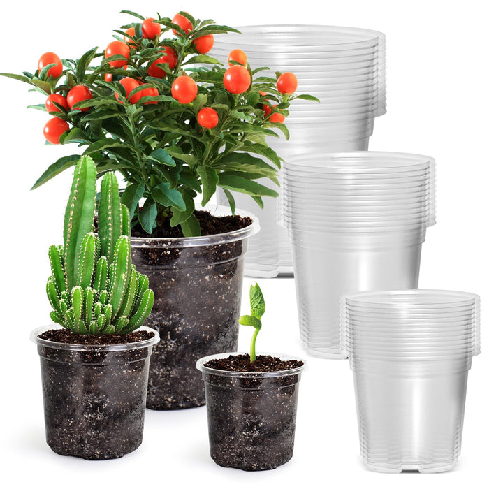 Bluepro Clear Nursery Pots with Drainage Holes, 3.5/4/5 Inch, 36-Pack | Clear PET, 12 Each of 3 Sizes, Root and Moisture Visibility, Flexible, Reusable, Indoor Use, Propagation and Seed Starting