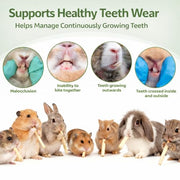 Sukh 240g Rabbit Chew Sticks - Natural Sweet Bamboo Chew for Small Animals | Sweet Bamboo Sticks, Teeth Grinding Treats & Chew Toys for Bunny, Hamster, Rat, Guinea Pig, Chinchilla, Gerbil, Pet Essential
