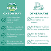 Oxbow Western Timothy Hay, Rabbit & Guinea Pig Hay, High Fiber, USA, 90 oz | Oxbow Timothy Hay, Bunny Hay For Rabbits, Guinea Pigs, Bunnies and Chinchillas, Hand-Sorted, De-Dusted, Made in USA