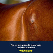 Farnam Wound-Kote Blue Lotion Spray Wound Care for Horses 7 Oz. | Effective against bacterial infections common in skin lesions, surface wounds or minor cuts of domestic animals