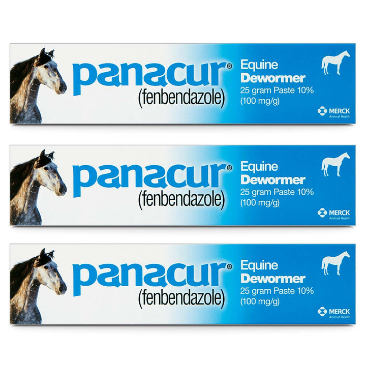 (3 Pack) PANACUR Dewormer Horse Paste 10%, 100mg Each