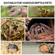 Acrylic Jumping Spider Habitat, Insect Terrarium, Bug Enclosure, Praying Mantis Habitat, Frog Enclosure