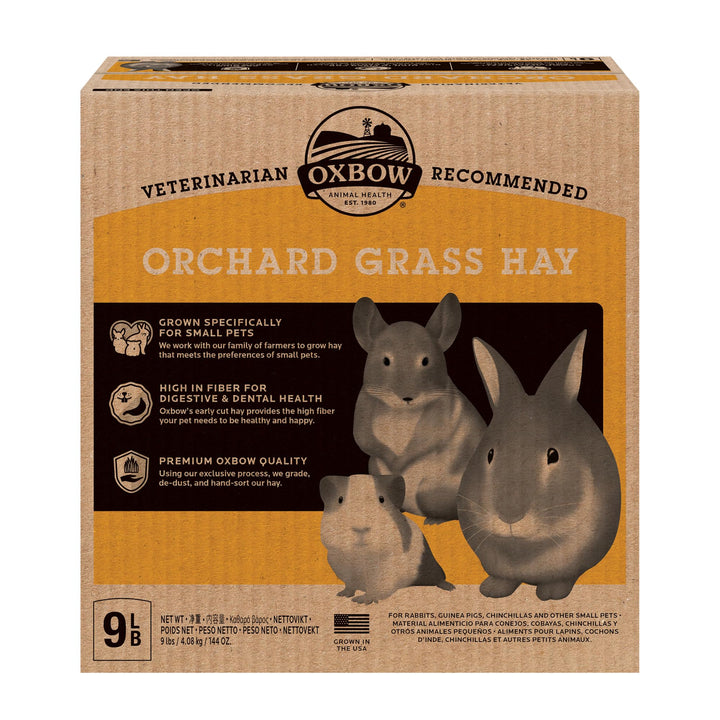 Oxbow Orchard Hay, Rabbit & Guinea Pig Hay, Hand-Sorted, De-Dusted, 9 lb | Hand-Sorted, De-Dusted, Oxbow Orchard Grass Hay, Bunny Hay For Rabbits, Guinea Pigs, Bunnies and Chinchillas, Made in USA