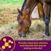 Farnam Horse Health Red Cell, Liquid Vitamin-Iron-Mineral Supplement for Horses, Helps Fill Important Nutritional Gaps in Horse's Diet, 1 Gallon, 128 Oz., 64-Day Supply