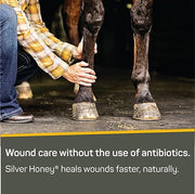 Silver Honey Rapid Wound Repair First Aid Spray Gel, 8 fl oz | Manuka Honey, MicroSilver BG, Fast & Natural Healing, Touch-Free Application, Multispecies Versatility, Antibiotic-Free