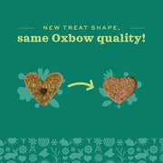 Oxbow Simple Rewards Guinea Pig & Rabbit Treats, Apple Banana, Baked, 3 oz | Timothy Hay, Bunny Treats, Hamster Treats, Chinchilla, Guinea Pig Snack, Rabbit Enrichment, Rabbit Accessories, Essentials
