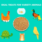 KAYPET Dried Mealworms 10LB Meal Worms for Chicken Ducks and Wild Birds | Pure Natural Non-GMO High Protein Chicken Feed