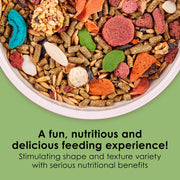 Kaytee Fiesta Rabbit Food, Supports Dental Health and Digestion | Fun at feeding time. Small animal food with bunny enrichment. Shapes, textures, fruits and veggies