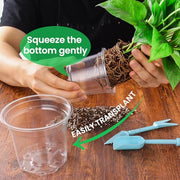 Bluepro Clear Nursery Pots with Drainage Holes, 3.5/4/5 Inch, 36-Pack | Clear PET, 12 Each of 3 Sizes, Root and Moisture Visibility, Flexible, Reusable, Indoor Use, Propagation and Seed Starting