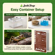 Josh's Frogs 3/4" Banded Feeder Crickets for Pets (500 Count) | Long Storage Protein Food Crickets, Healthy Active Prey for Leopard Geckos, Bearded Dragons, Tree Frogs, Frogs, Birds, Bats